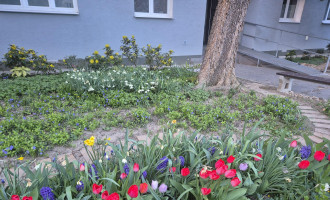 photo-2026-04-15-09-09-11 (1).jpg